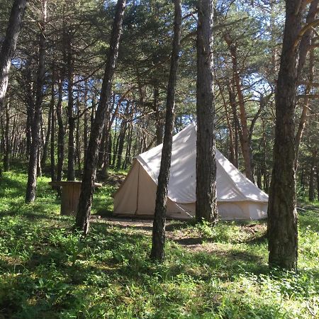 Camping La Chabannerie Hotel Saint-Martin-de-Clelles Eksteriør billede