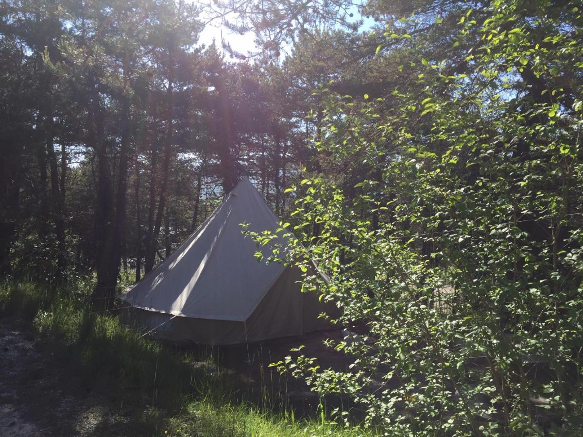 Camping La Chabannerie Hotel Saint-Martin-de-Clelles Eksteriør billede